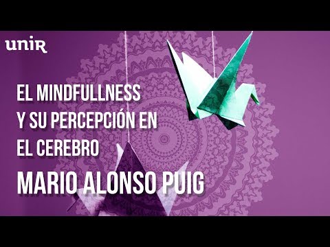 Mario Alonso Puig – El Mindfulness y su percepción en el cerebro | #UNIRmarioalonsopuig